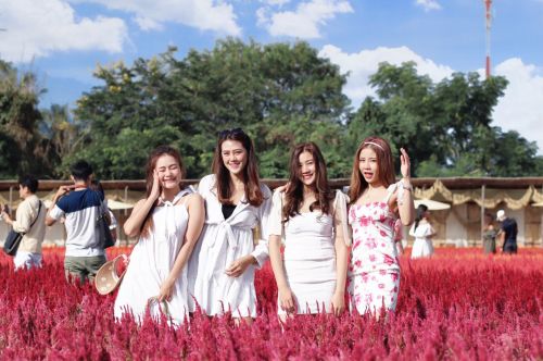 อากาศดีๆ วันอาทิตย์ กับ 4  สาว มหัศจรรย์ ชวนมา Photo trip กันที่ I Love Flower Farm , Chiang Mai CR.Nong Bow-Jane-Nuei-Muk  ☘️ ☘️ ☘️ ☘️ ☘️ ☘️ ☘️ ☘️ ☘️ ☘️ ☘️ ☘️ ☘️ ☘️  ♦ คนไทยทัวร์ / บริษัททัวร์ชั้นนำเชียงใหม่ 👉 Konthaitour / Boutique Private Tour Operator Specialty base in Chiang Mai, Thailand. 🔥 หมายเหตุ : ทุกคณะเป็นทริปส่วนตัว ไม่มีทัวร์จอย จ่ายเงินรอบเดียว รวมให้หมดทุกอย่าง 1.ทริปเชียงใหม่ –แม่ฮ่องสอน -ปาย 3-4 วัน * 2.ทริปเชียงใหม่ ม๋วนใจ 3-5 วัน * ขายดีตลอดปี 3.ทริปหรรษา เชียงใหม่ –เชียงราย 3-5 วัน *ชนะเลิศ 4.ทริปแล้วแต่ คนไทยทัวร์ * แนะนำ 5.Team Building and MICE 6.ทัวร์ทั่วไทย รับตั้งแต่ 40 ท่านขึ้นไป 📣Tour Package Chiang mai 3-6 Days 🌺 📣Tour Package Chiang mai -Chiang Rai 3-6 Days  📣Tour Package Chiang mai-Maehongson-Pai 3-6 Days 💥 👉 จองแพ็กเก็จทัวร์ ☎ : 063-7892562  Line id : @konthaitour www.konthaitour.com ( Thai ) #ทริปเที่ยวเชียงใหม่ #เชียงใหม่ #ทัวร์เชียงใหม่ #เที่ยวสวนดอกไม้เชียงใหม่ #นางแบบรีวิวเชียงใหม่